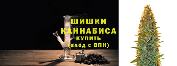 МДПВ Нефтегорск
