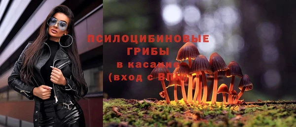 твердый Алексин