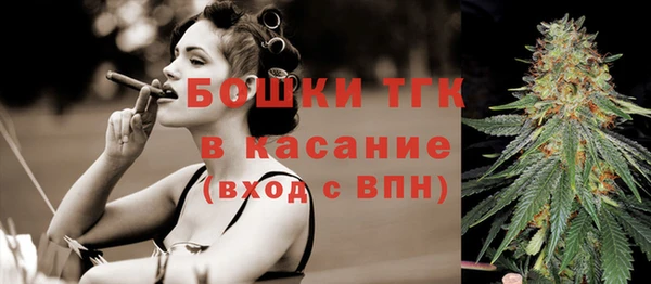 молекула духа Абинск